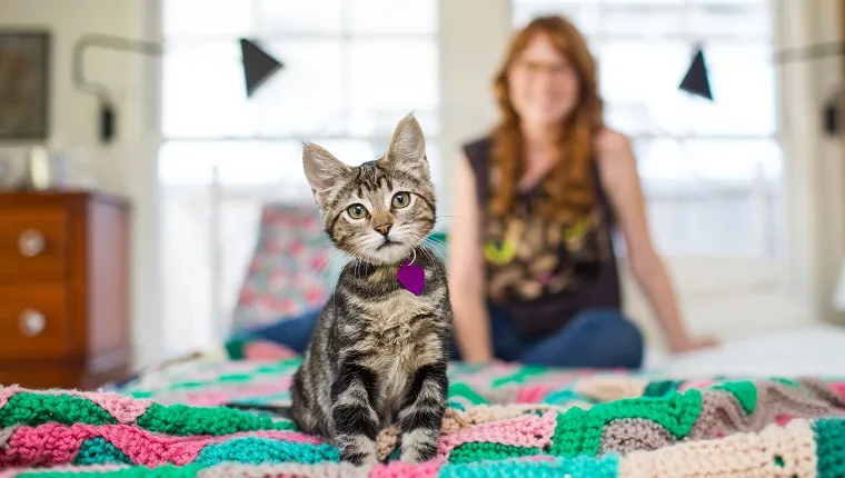 A kitten sits on a bed with a young woman visible in the background.
