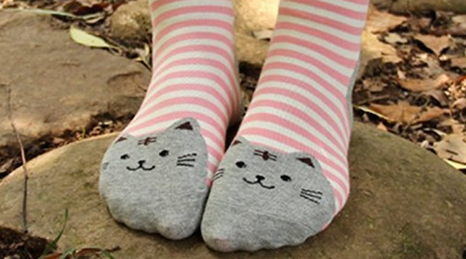 Cat-Socks-AnVei-Nao