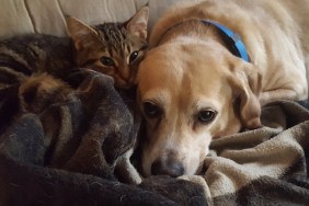 Unlikely friends come together on a cold morning