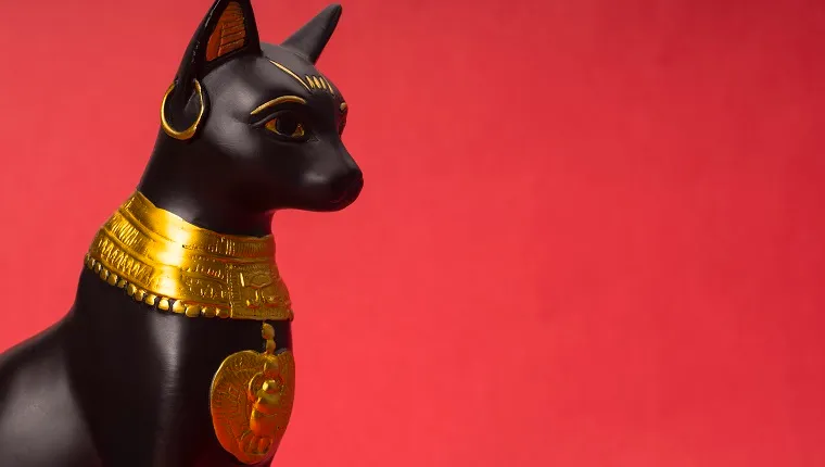 bibelot of the black egyptian cat