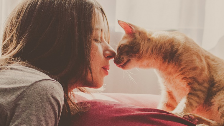 Brunette young woman and ginger cat touching noses