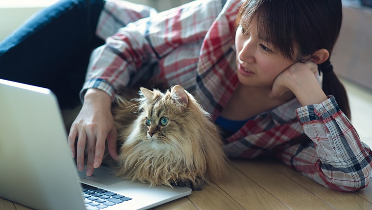 Japanese girl with check shirt on floor operating notebook PC with cat.