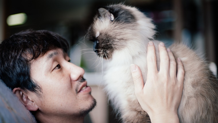 Japanese man holding his pet Himalayan cat