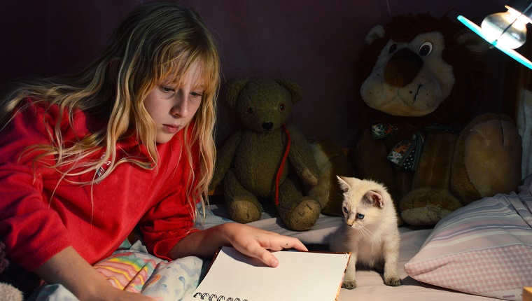 A blonde girl reading in bed at night under a nightlight, whilst a white kitten looks on.