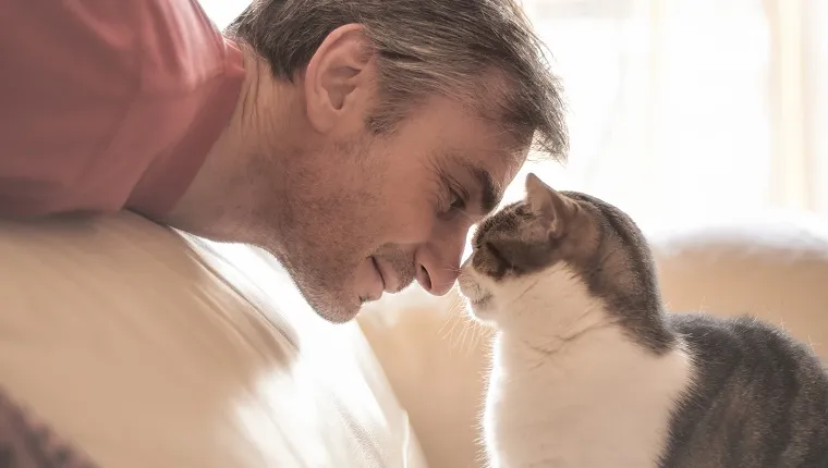 Portrait of a man and his affectionate cat together face to face.