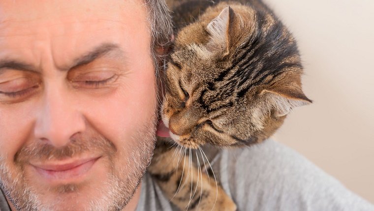 man and old cat: real love - have faith in / trusting