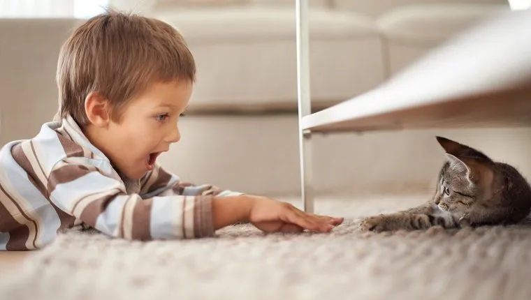 A little boy lying on his bedroom floor and playing with a kittenhttp://195.154.178.81/DATA/i_collage/pi/shoots/783344.jpg