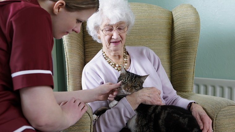 care worker chatting to her elderly pacient and strocking her cat