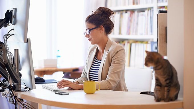 woman works on computer with cat on table