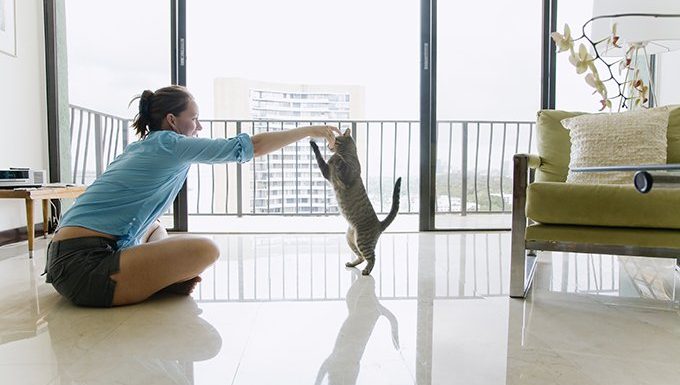 woman playing with cat in apartment