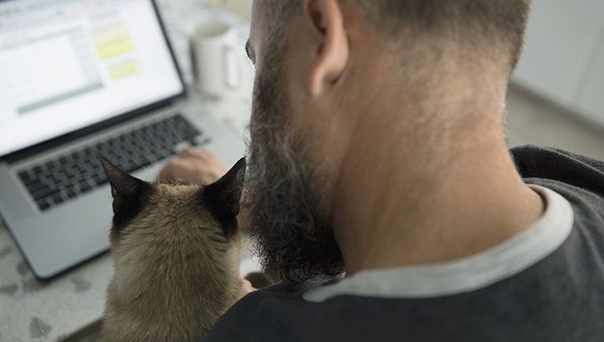 man on laptop with cat on lap