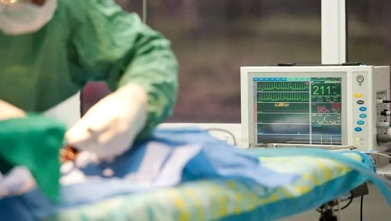 surgical procedure at a veterinary hospital