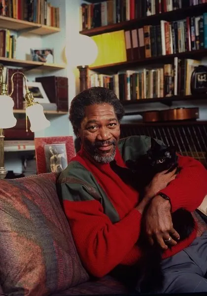 Actor Morgan Freeman posing w. pet cat at home in NYC. (Photo by Ted Thai/The LIFE Picture Collection/Getty Images)