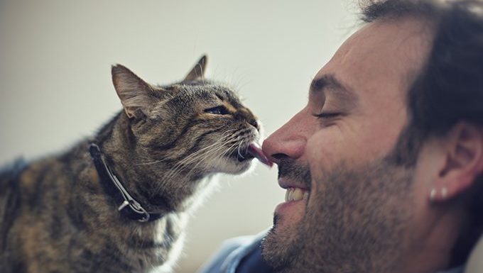 cat licking human's nose