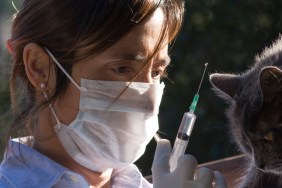 Veterinaria con la jeringa lista para inyectar al gato.