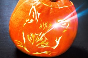 Halloween pumpkin with cat mouth, Jack O Lantern