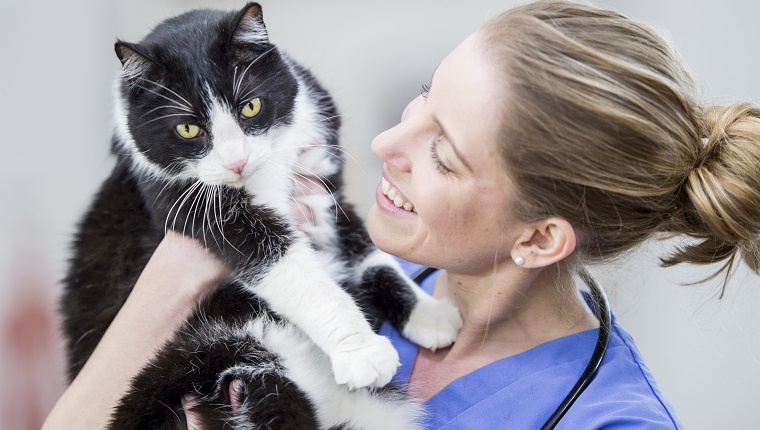 A Caucasian female veterinarian is indoors at a vet clinic. She is wearing medical clothing. She is holding up and smiling at a black and white adult cat.