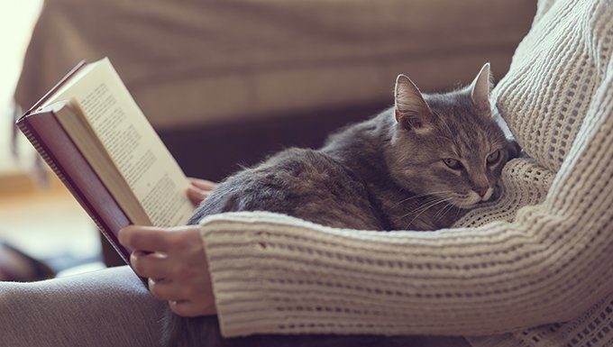 cat sitting on lap with book