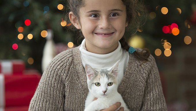young girl holding kitten by christmas tree