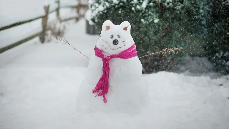 Snowcats Cat Snowman Inspiration For Feline Lovers Pictures Cattime