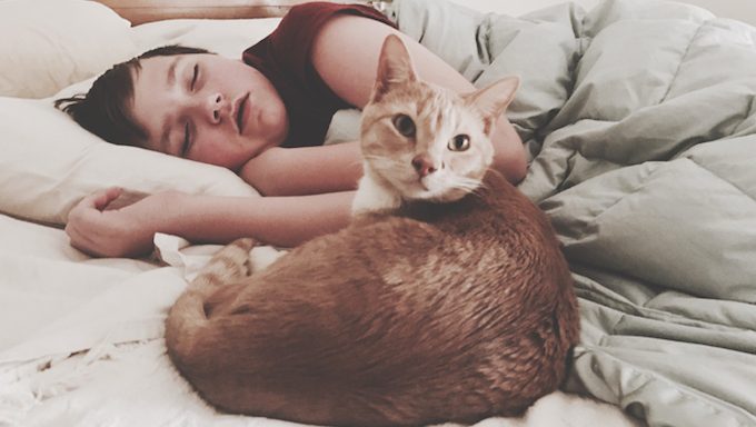 cat lying on bed with child