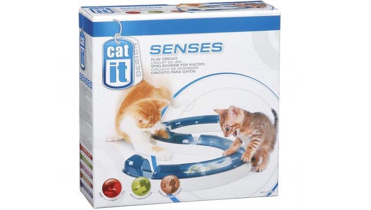 cat senses toy