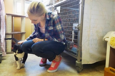 Female volunteer petting a cat in animal shelter