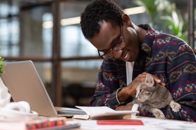 Having a pet. A man doing his office tasks with a cat in his hands
