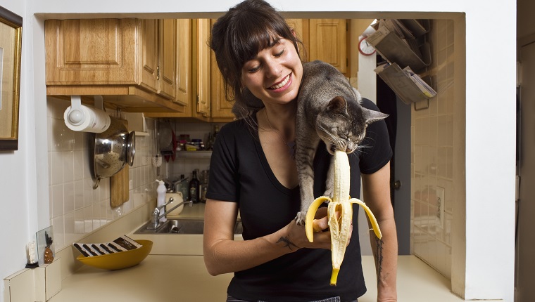 Cat eating banana on woman's shoulder