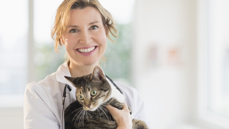 Portrait of female vet with cat