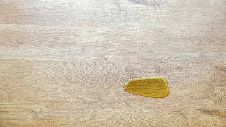 urine of a cat or a dog on the floor of a house
