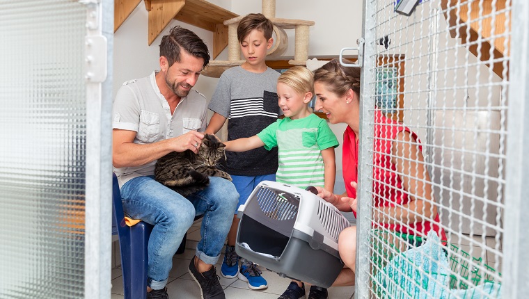 Family adopting cat from animal shelter taking her home