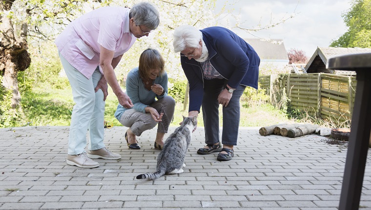 Senior women having fun with a cat outdoors in backyard