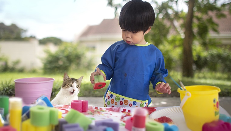 Asian toddler boy learn to paint with sponge. Art and craft session. Cat curiously looking at the process. Art and craft class.