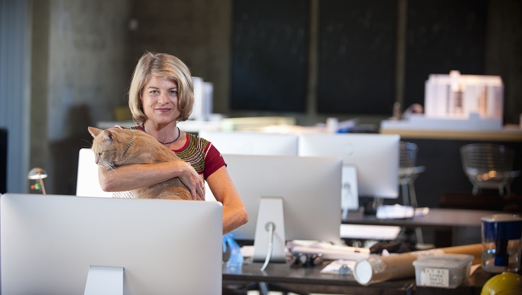 businesswoman with cat in architectural office