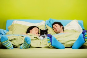 Couple sleeping with cat