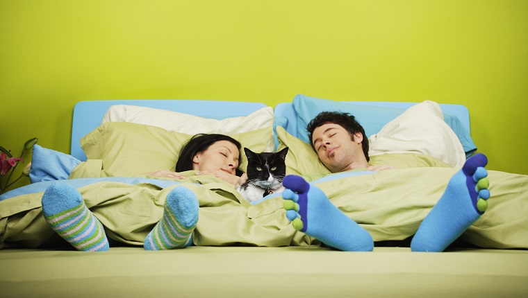 Couple sleeping with cat