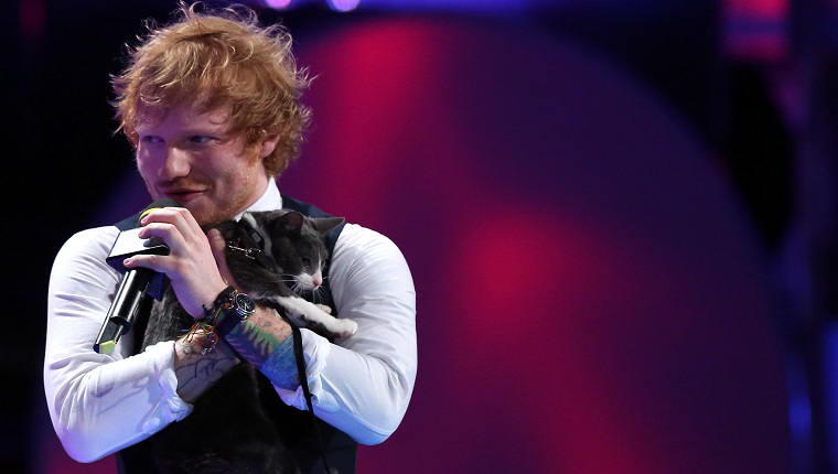 TORONTO, ON- JUNE 21 Ed Sheeran holds a cat as he co-hosts the 2015 Much Music Video Awards at MuchMusic on Queen Street West in Toronto. June 21, 2015