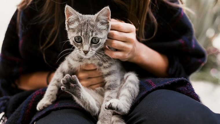 Little girl playing with her kitten