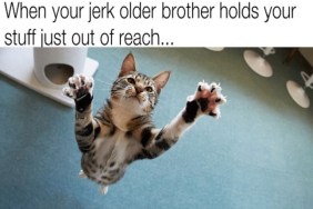 cat jumping with claws out, text reads "when your jerk older brother holds your stuff just out of reach"