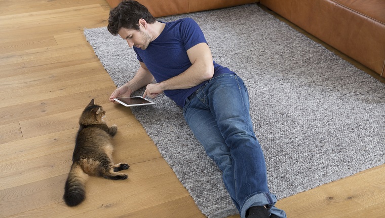 Man with digital tablet lying on floor, cat watching him