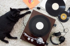 Black Cat listening to records on a white shag rug