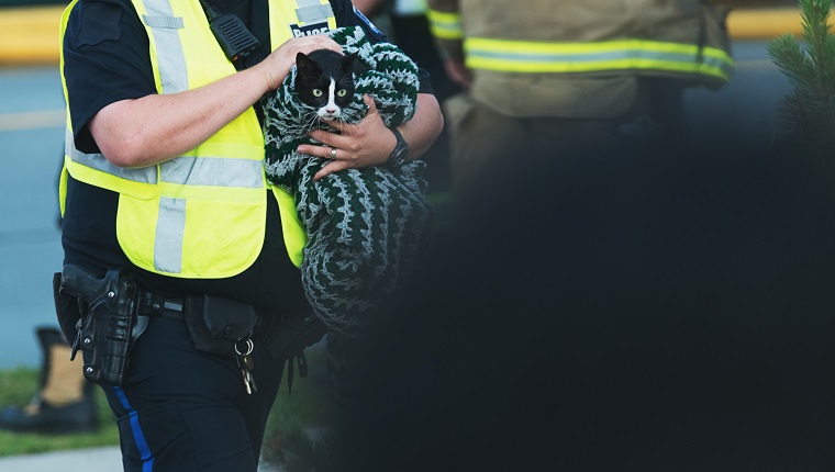 A police officer returns a frighted cat to it's owners amidst the chaos of a house fire.