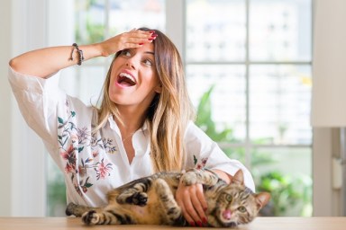 Young woman at home playing with her cat stressed with hand on head, shocked with shame and surprise face, angry and frustrated. Fear and upset for mistake.