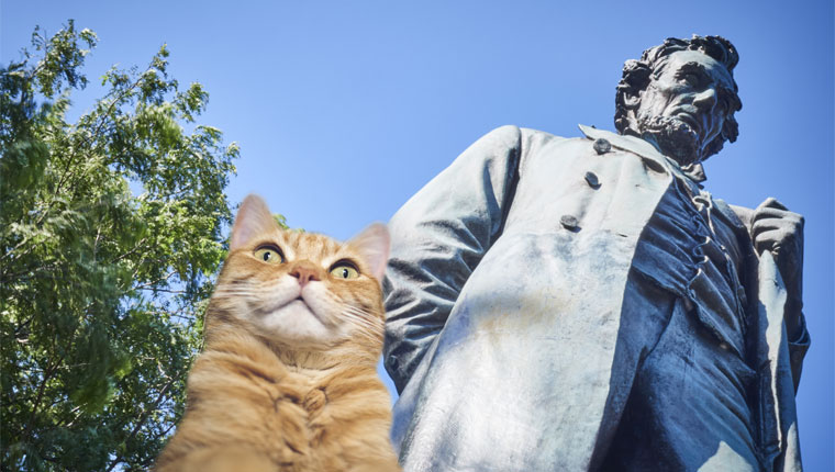 abraham lincoln statue and cat