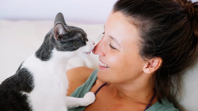 cat licking womans nose