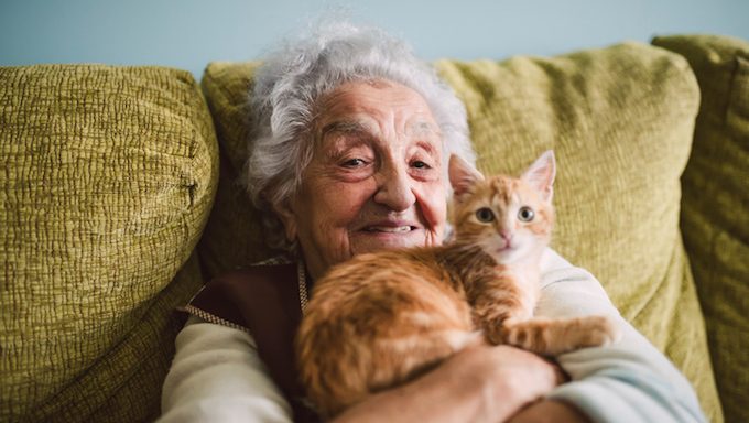 elderly woman with kitten