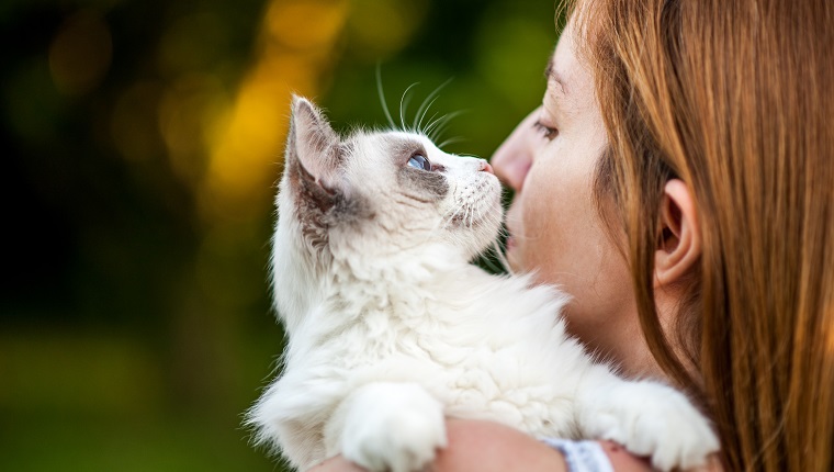 Woman and her Ragdoll cat