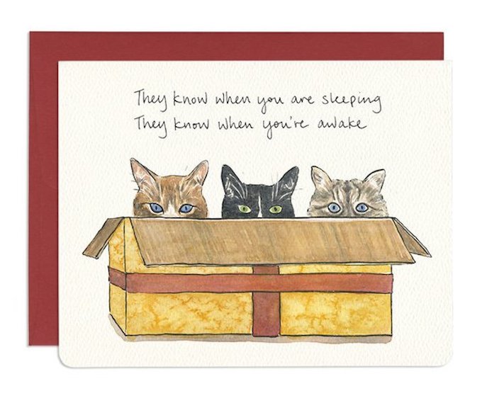 cats in a gift box