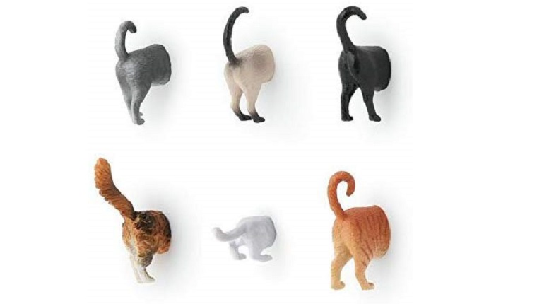 cat magnets